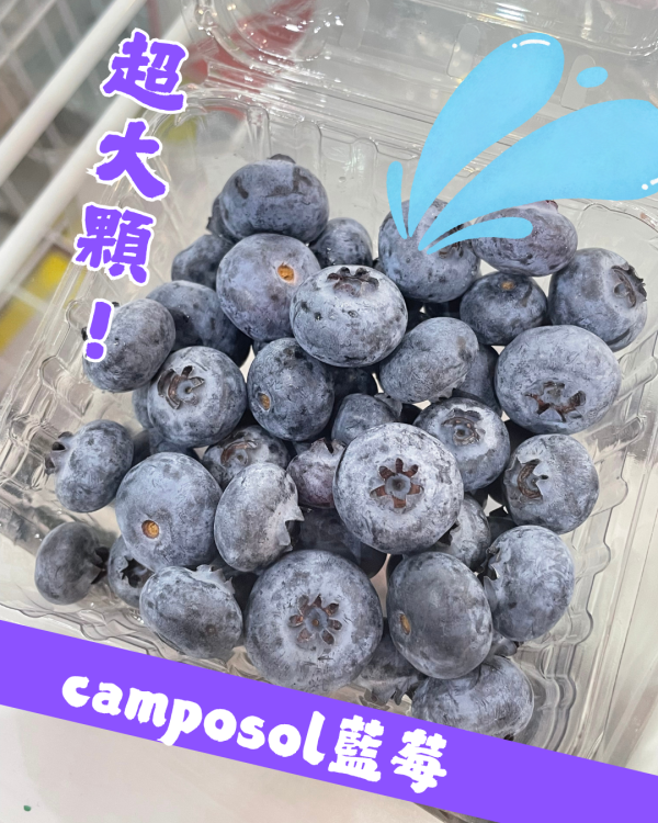 美國藍莓 