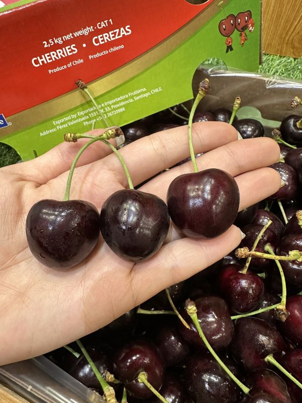 智利空運櫻桃2JD-超強品種Kordia 智利空運櫻桃2JD-超強品種Kordia
智力櫻桃