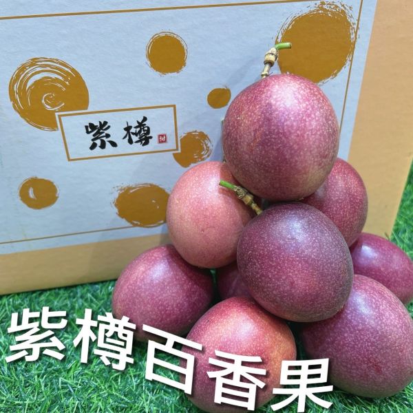 南投紫樽百香果 紫樽百香果
南投百香果
百香果