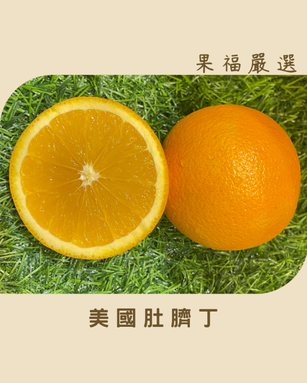 美國肚臍丁 