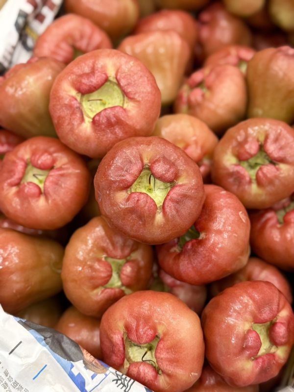 在地嚴選林邊蓮霧 蓮霧