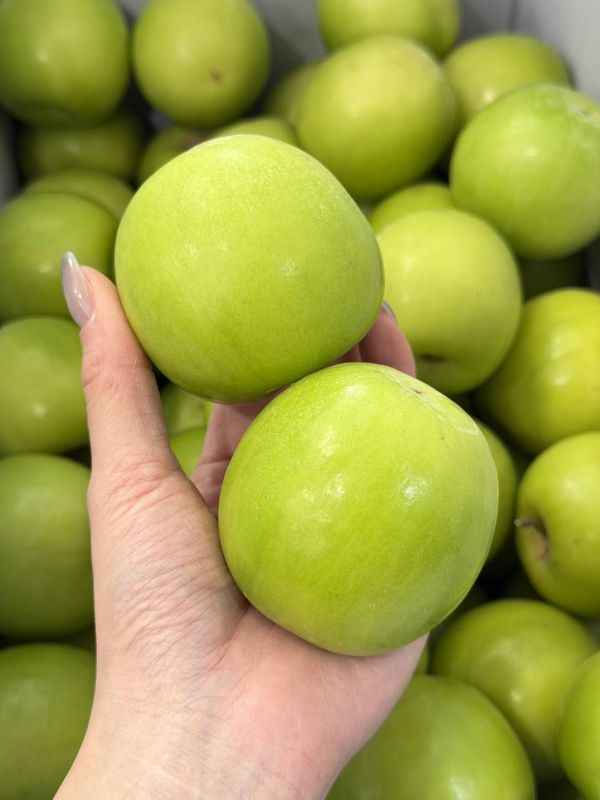 在地嚴選精品蜜棗 雪麗棗,棗子