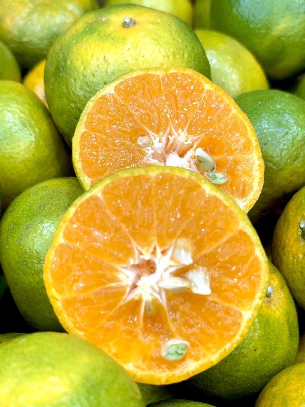 在地南投砂糖橘 砂糖橘