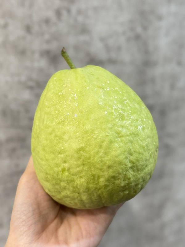 高雄燕巢珍珠大芭樂 高雄燕巢,芭樂,珍珠芭樂