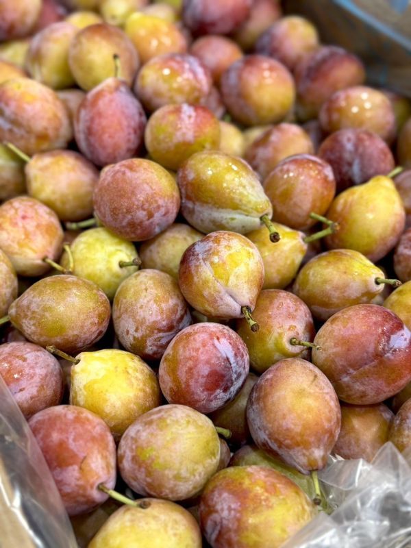 智利進口蜜棗（李子） 蜜棗,智利蜜棗,李子