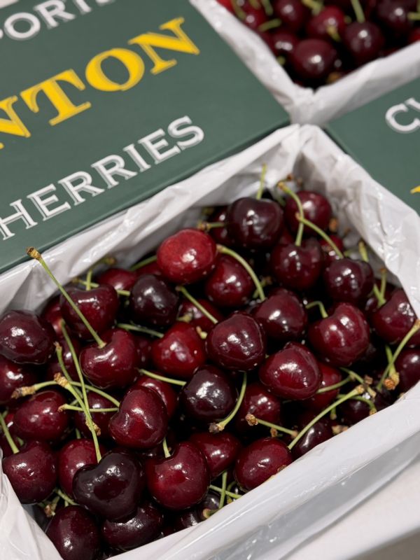 紐西蘭空運CVE大嘴巴櫻桃 CVE大嘴巴,櫻桃,大嘴巴櫻桃,CVE大嘴巴櫻桃,大嘴巴,紅唇