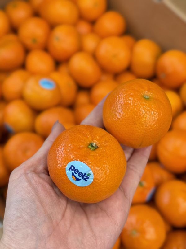 美國進口砂糖橘 美國砂糖橘,砂糖橘,peeiz,peeiz砂糖橘,黑標