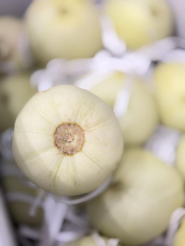 在地美濃香瓜 美濃香瓜,香瓜