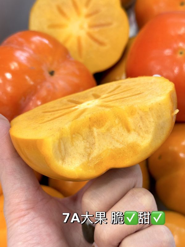 高山高海拔甜柿 梨山甜柿,甜柿