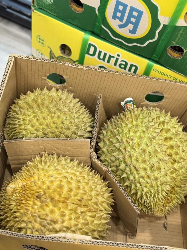越南<鶴>金枕頭榴蓮 金枕頭,榴蓮