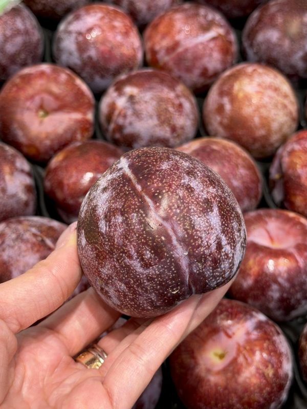 智利進口鳳凰蛋（蜜李） 恐龍蛋,鳳凰蛋,蜜李