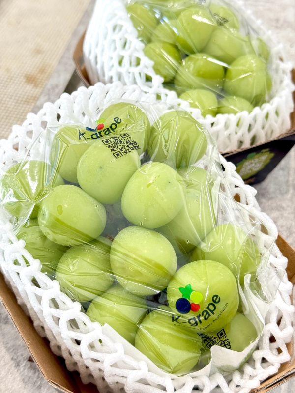 韓國閃耀麝香葡萄 麝香葡萄