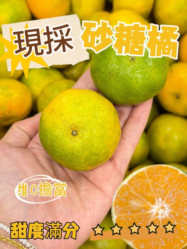 在地南投砂糖橘 砂糖橘