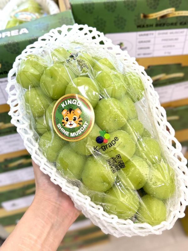 韓國進口麝香葡萄 麝香葡萄,韓國麝香