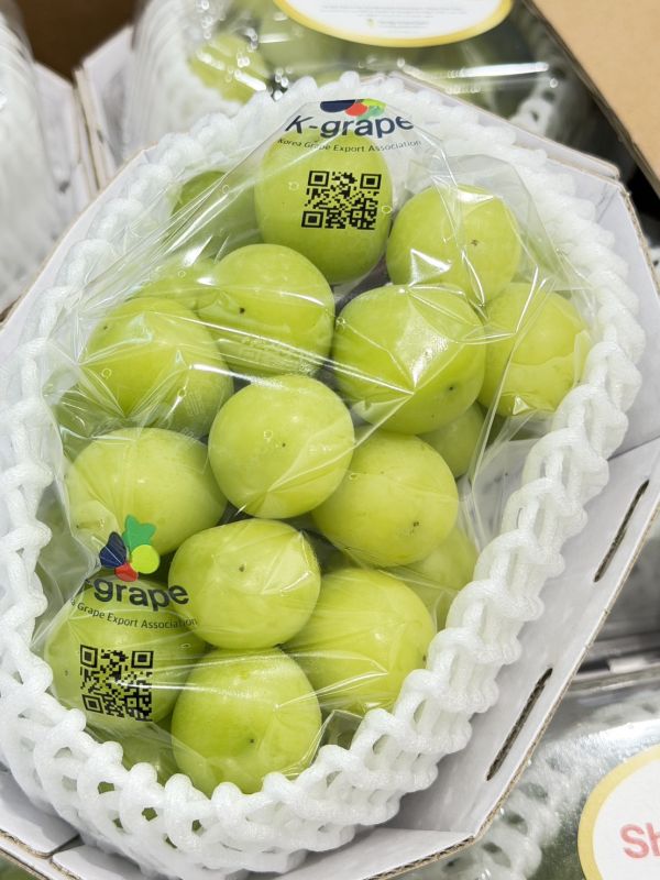 韓國閃耀麝香葡萄 麝香葡萄
