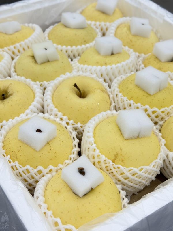 日本青森金星牛奶蘋果 日本青森.金星牛奶,蘋果,青森,金星牛奶蘋果,金星,牛奶蘋果