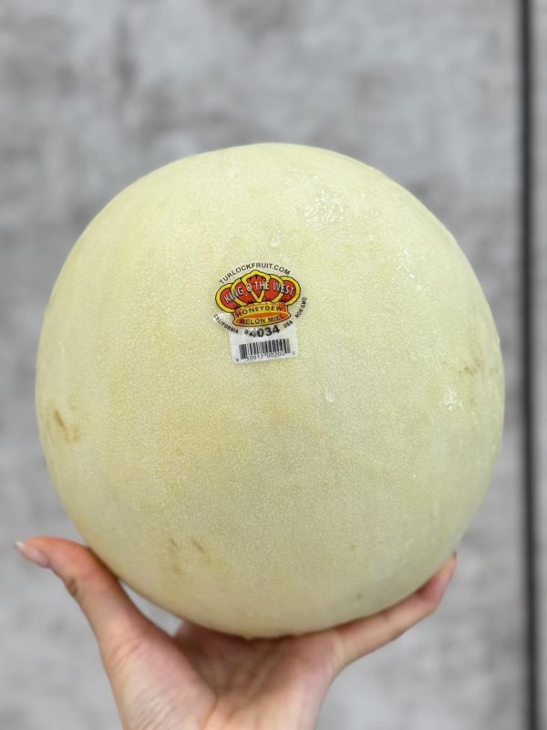 美國皇冠蜜世界哈密瓜 哈密瓜,皇冠,蜜世界