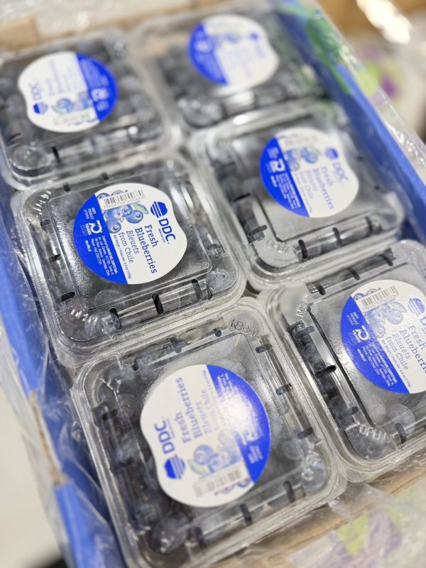 智利16mm+藍莓 藍莓