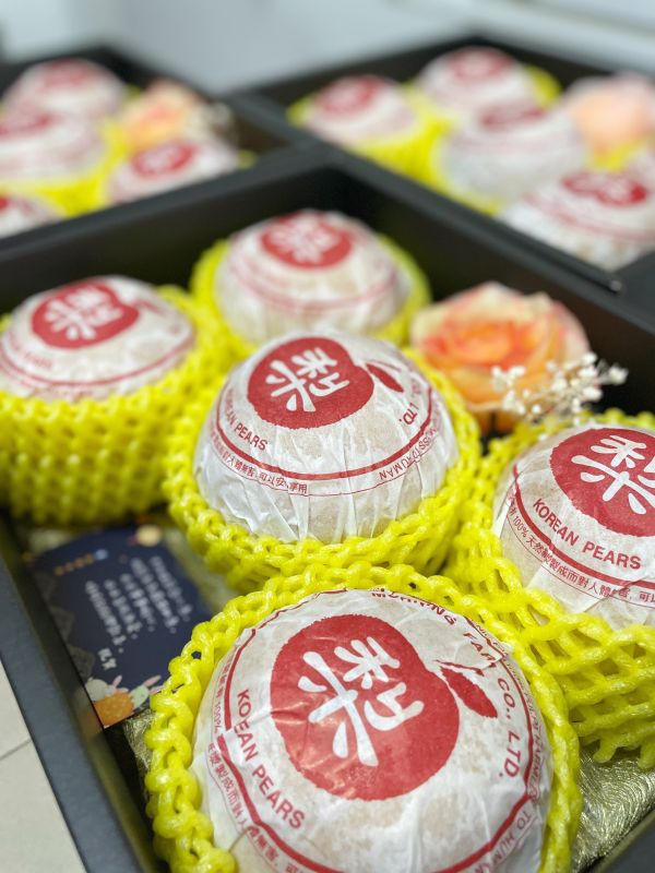 金運奔馥02 新年禮盒,2026,馬年,過年禮盒,送禮首選,禮盒,水果禮盒,精緻禮盒,禮盒推薦,馬年禮盒,過年,水梨,韓國梨,水梨禮盒