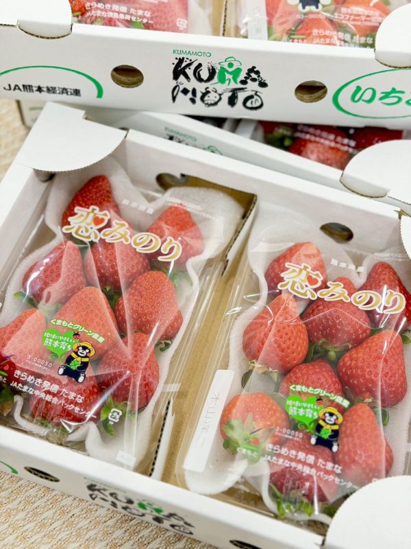 日本熊本戀みのり草莓 日本熊本,戀みのり,草莓,日本,熊本草莓,戀みのり草莓,日本草莓