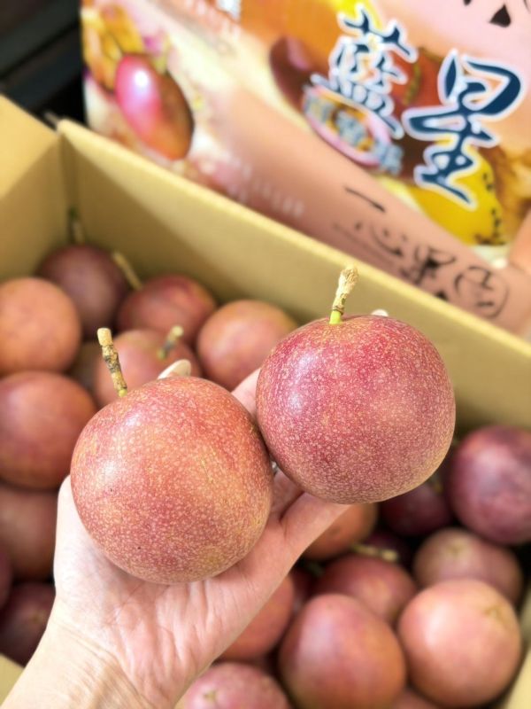 藍星蜜糖百香果 藍星百香果,百香果