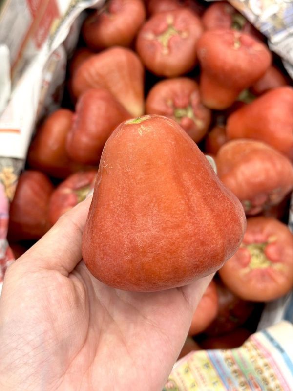 在地嚴選林邊蓮霧 蓮霧