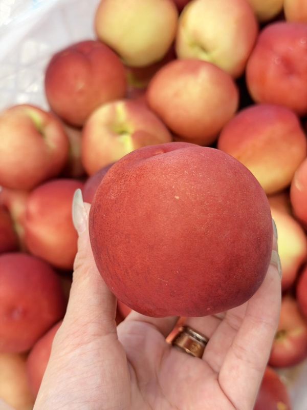 智利進口脆甜桃 脆桃,甜桃,桃子