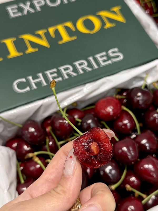 紐西蘭空運CVE大嘴巴櫻桃 CVE大嘴巴,櫻桃,大嘴巴櫻桃,CVE大嘴巴櫻桃,大嘴巴,紅唇