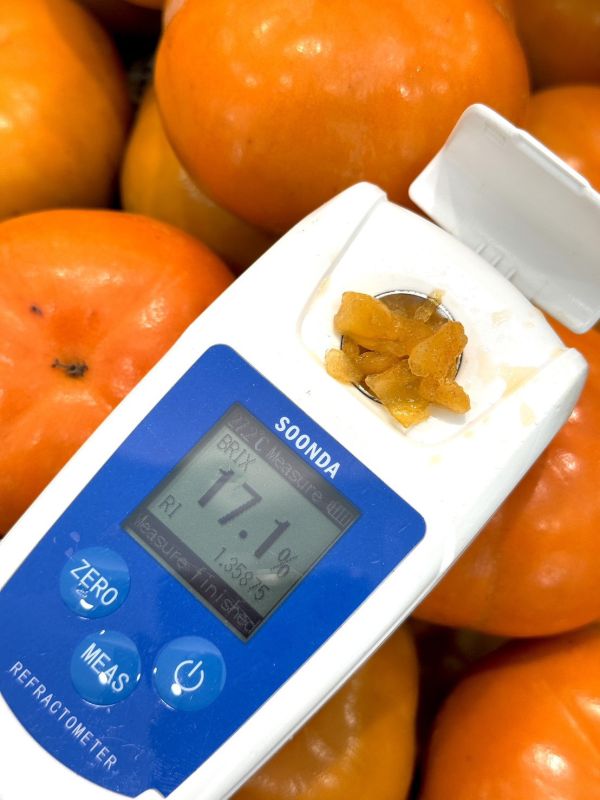 高山高海拔甜柿 梨山甜柿,甜柿