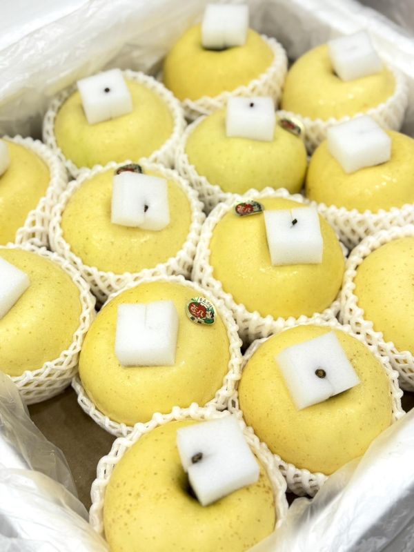 日本青森金星牛奶蘋果 日本青森.金星牛奶,蘋果,青森,金星牛奶蘋果,金星,牛奶蘋果