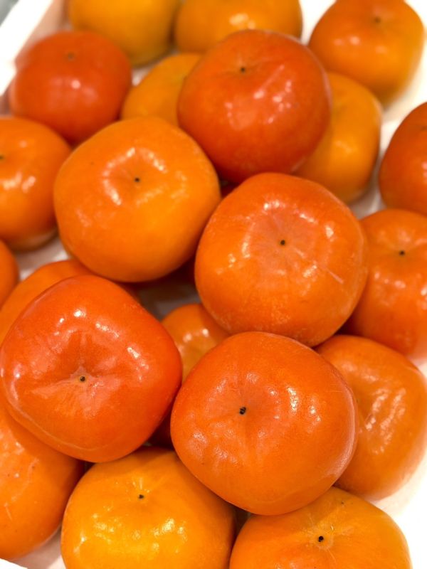 高山高海拔甜柿 梨山甜柿,甜柿