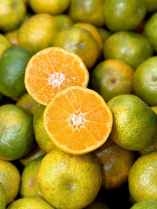 在地南投砂糖橘 砂糖橘