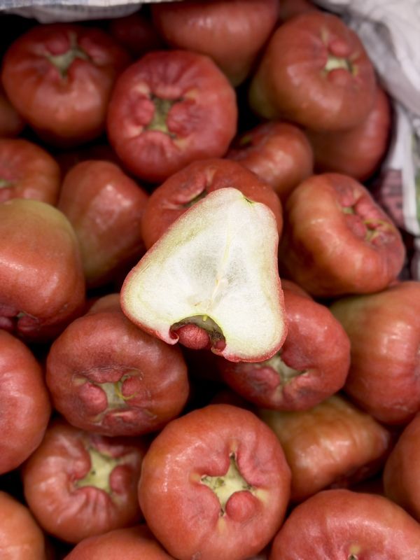 在地嚴選林邊蓮霧 蓮霧