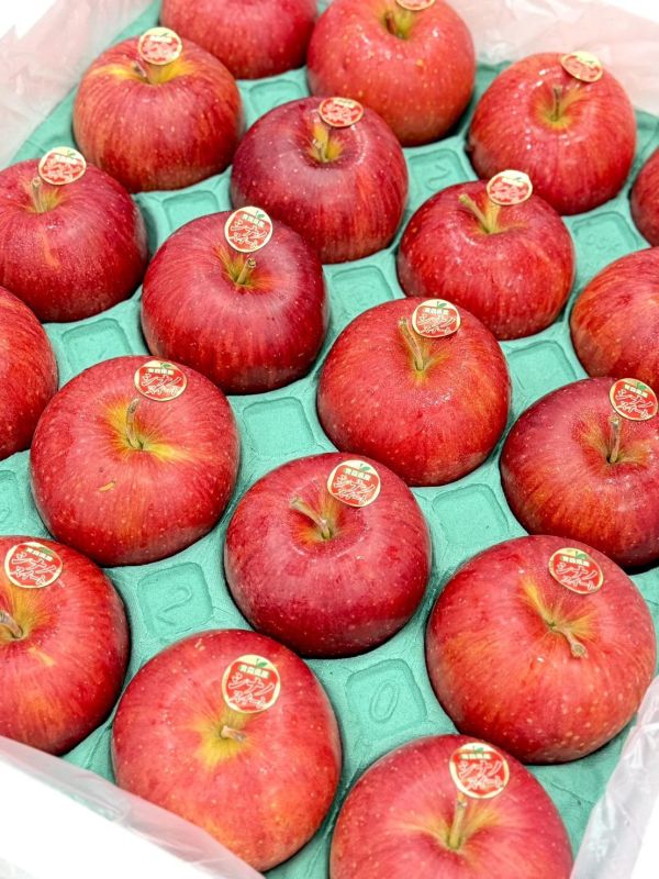 日本青森大弘蜜蘋果 日本青森,青森蘋果,蜜富士,蘋果,蜜蘋果,青森大弘,大弘蜜蘋果