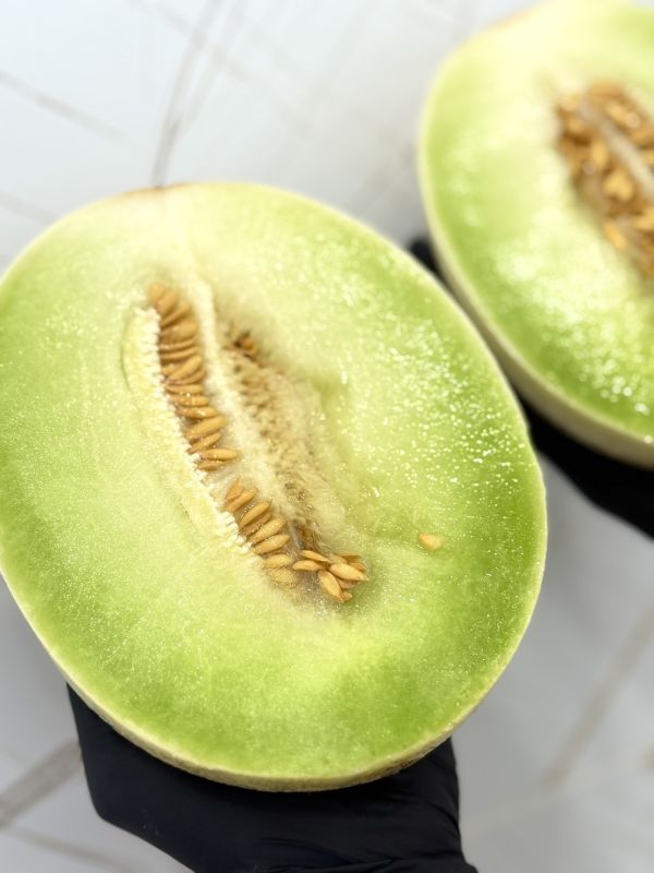 美國蜜世界哈密瓜 哈密瓜