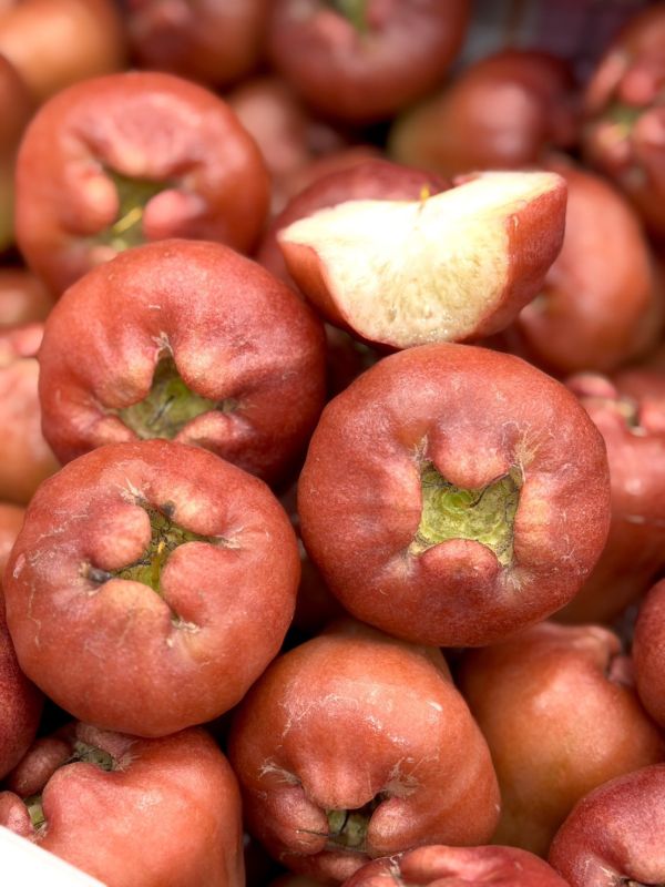 在地嚴選林邊蓮霧 蓮霧