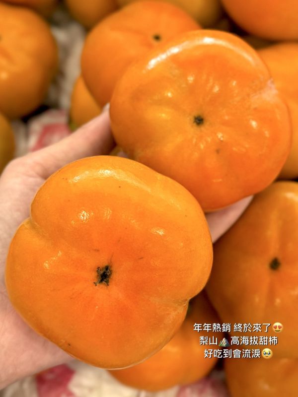 梨山高山高海拔甜柿 梨山甜柿,甜柿