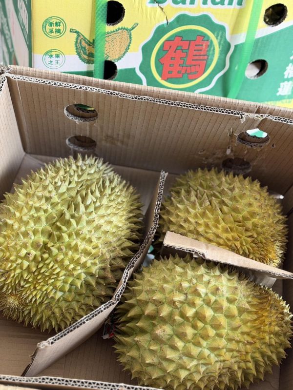 越南<鶴>金枕頭榴蓮 金枕頭,榴蓮