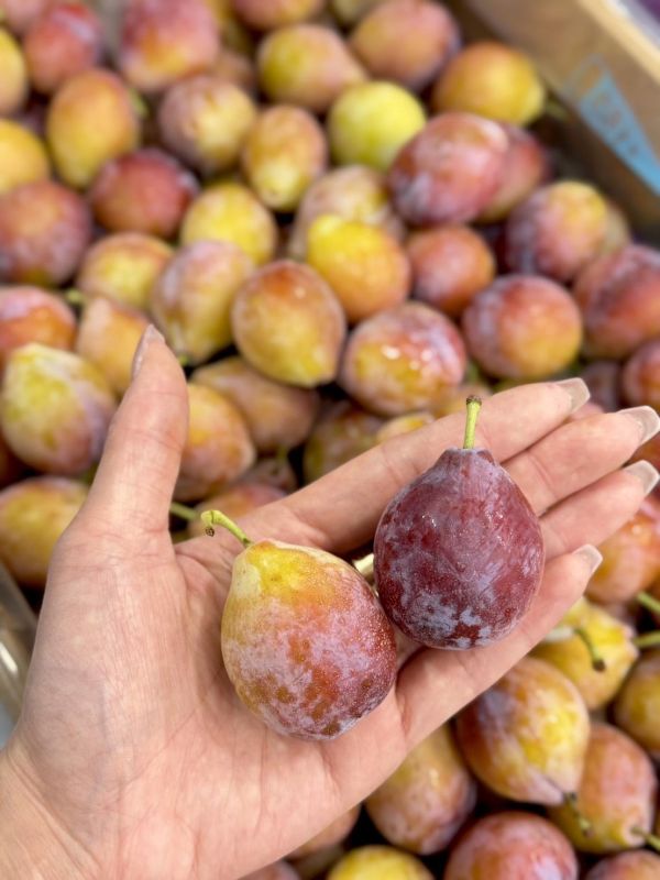 智利進口蜜棗（李子） 蜜棗,智利蜜棗,李子