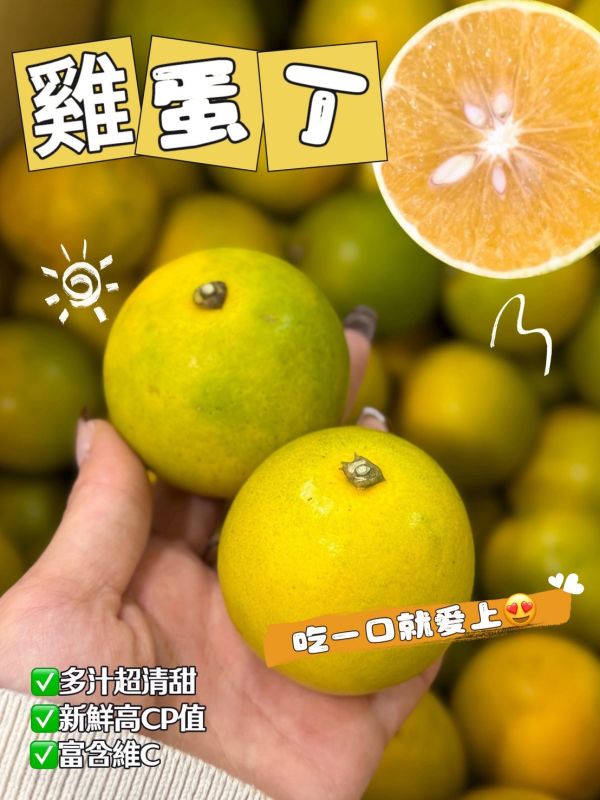 在地嚴選竹崎雞蛋丁 柳丁