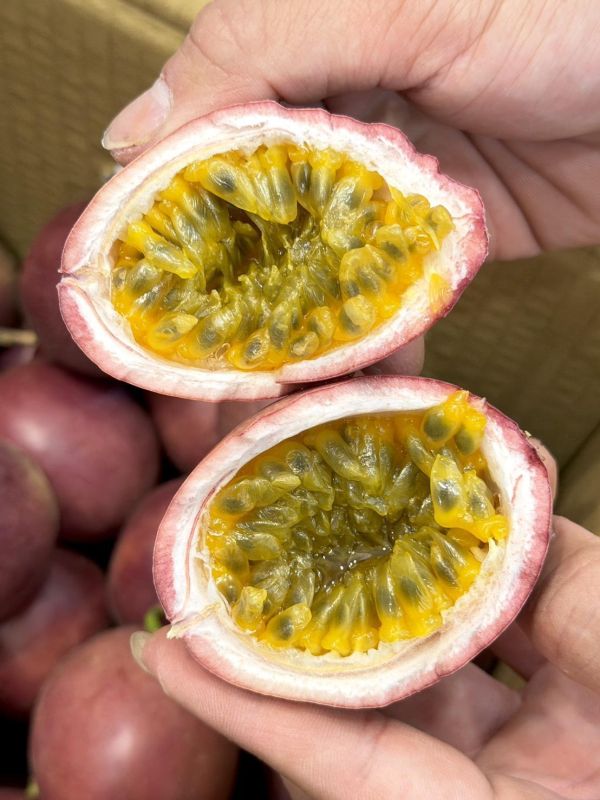 藍星蜜糖百香果 藍星百香果,百香果