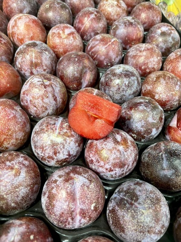 智利進口鳳凰蛋（蜜李） 恐龍蛋,鳳凰蛋,蜜李