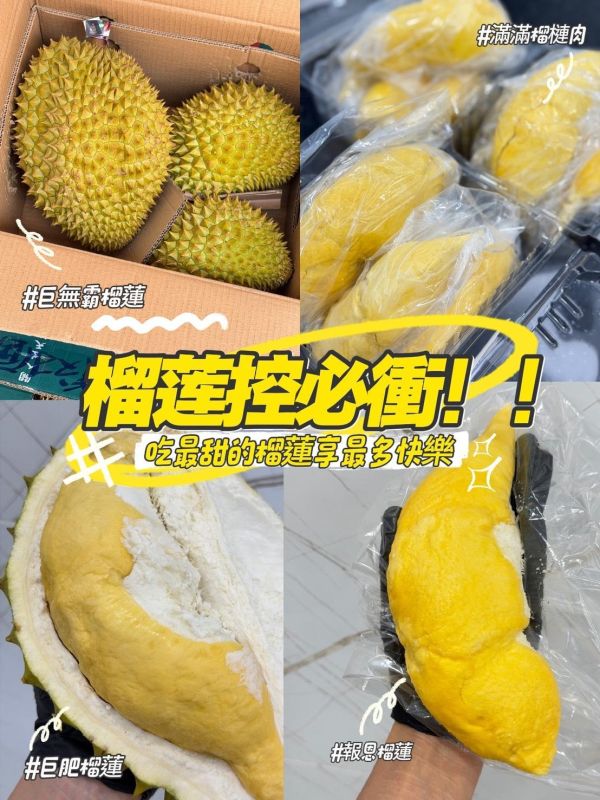 越南甘堯榴槤 越南榴槤,甘堯,榴槤,甘堯榴槤,關公