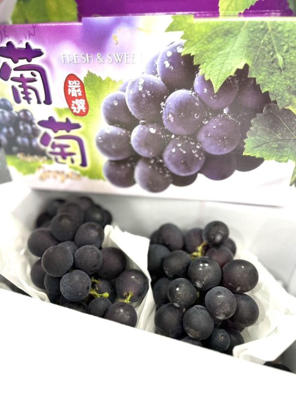 溪湖溫室巨峰葡萄 溪湖溫室巨峰葡萄,溪湖葡萄,葡萄,巨峰葡萄