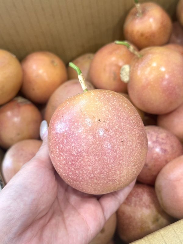 埔里滿天星蜜糖百香果 埔里百香果,滿天星,蜜糖百香果,百香果