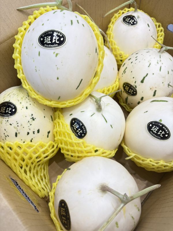 溫室精品斑比哈密瓜(白肉) 斑比哈密瓜,哈密瓜,斑比