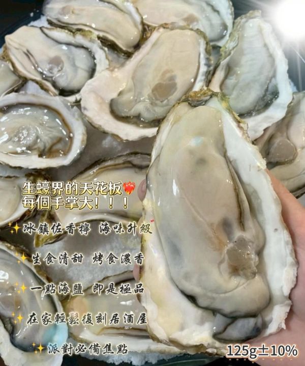 日本宮城生蠔 日本生蠔,宮城生蠔,日本宮城生蠔,生蠔,冷凍,冷凍生鮮,蔬菜,冷凍食品