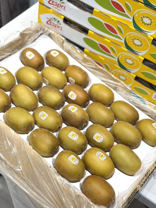 紐西蘭黃金奇異果(22A) 黃金奇異果,奇異果
