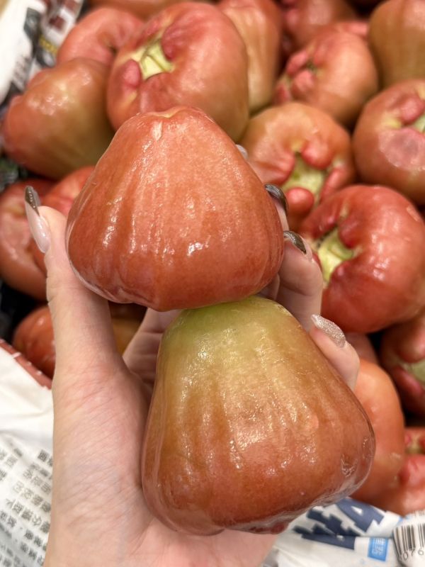 在地嚴選林邊蓮霧 蓮霧