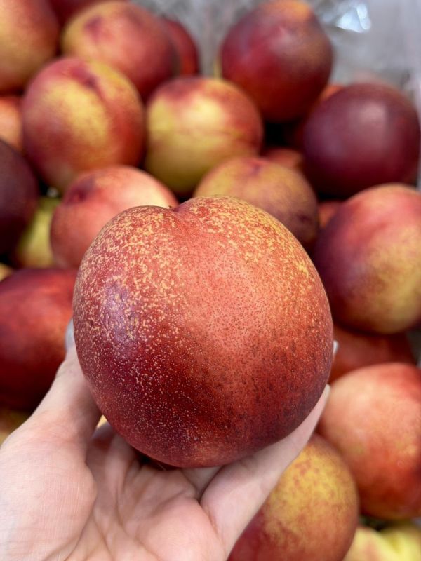 智利進口脆甜桃 脆桃,甜桃,桃子